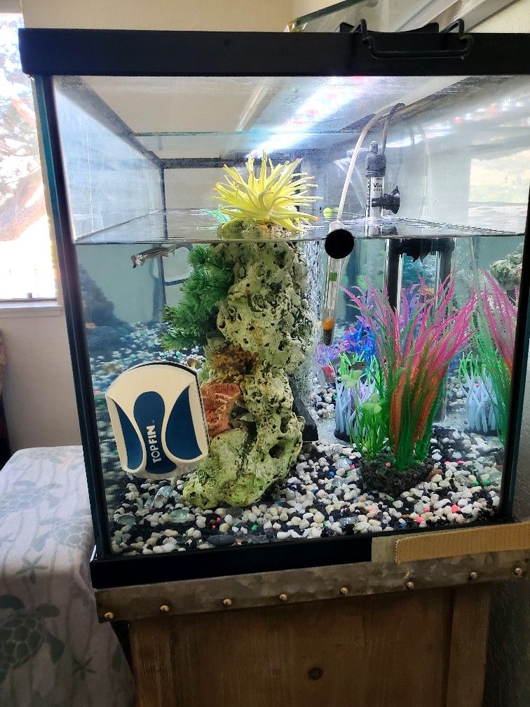 Fish Tank
