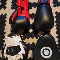 Boxing Gloves And Focus Mitts