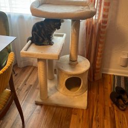 Free Cat Tree 