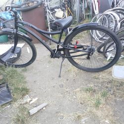 Evo Beach Cruiser