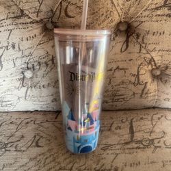 Starbucks X Disney Disneyland Cup