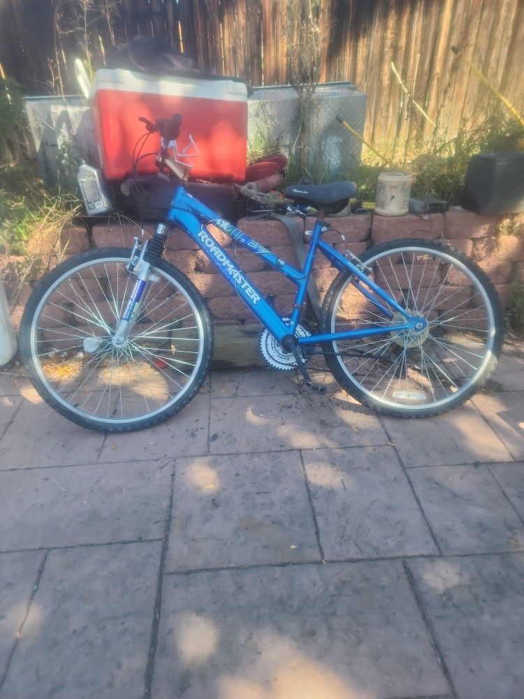 Adult Bike