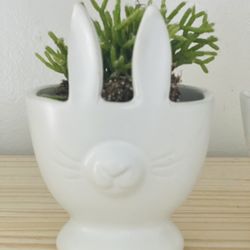 Bunny Pot With Succulent 