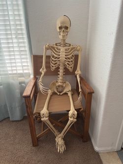 Halloween Skeleton $20