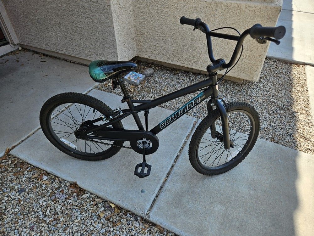 20" Schwinn Kid's Bike