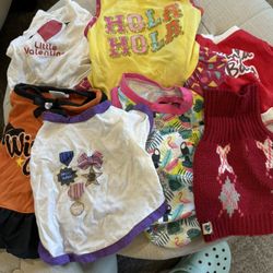 Xtra Small Puppy Size Dog Outfits