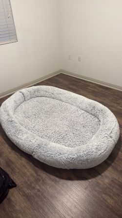 Human sized dog bed