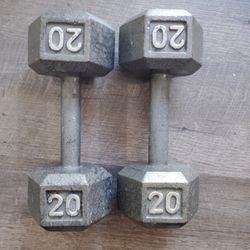 Mancuernas 20 libras