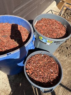 Free Mulch