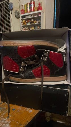 Creative recreation 8.5