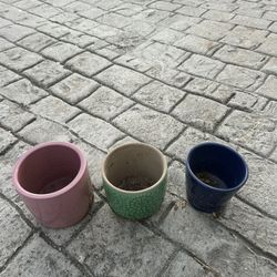 Plant Pots 