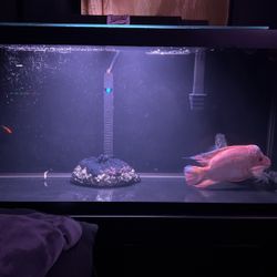 Fluval E300 fish tank heater