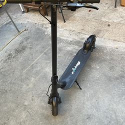 Egg King Electric Scooter 