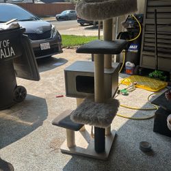 Cat Tower 