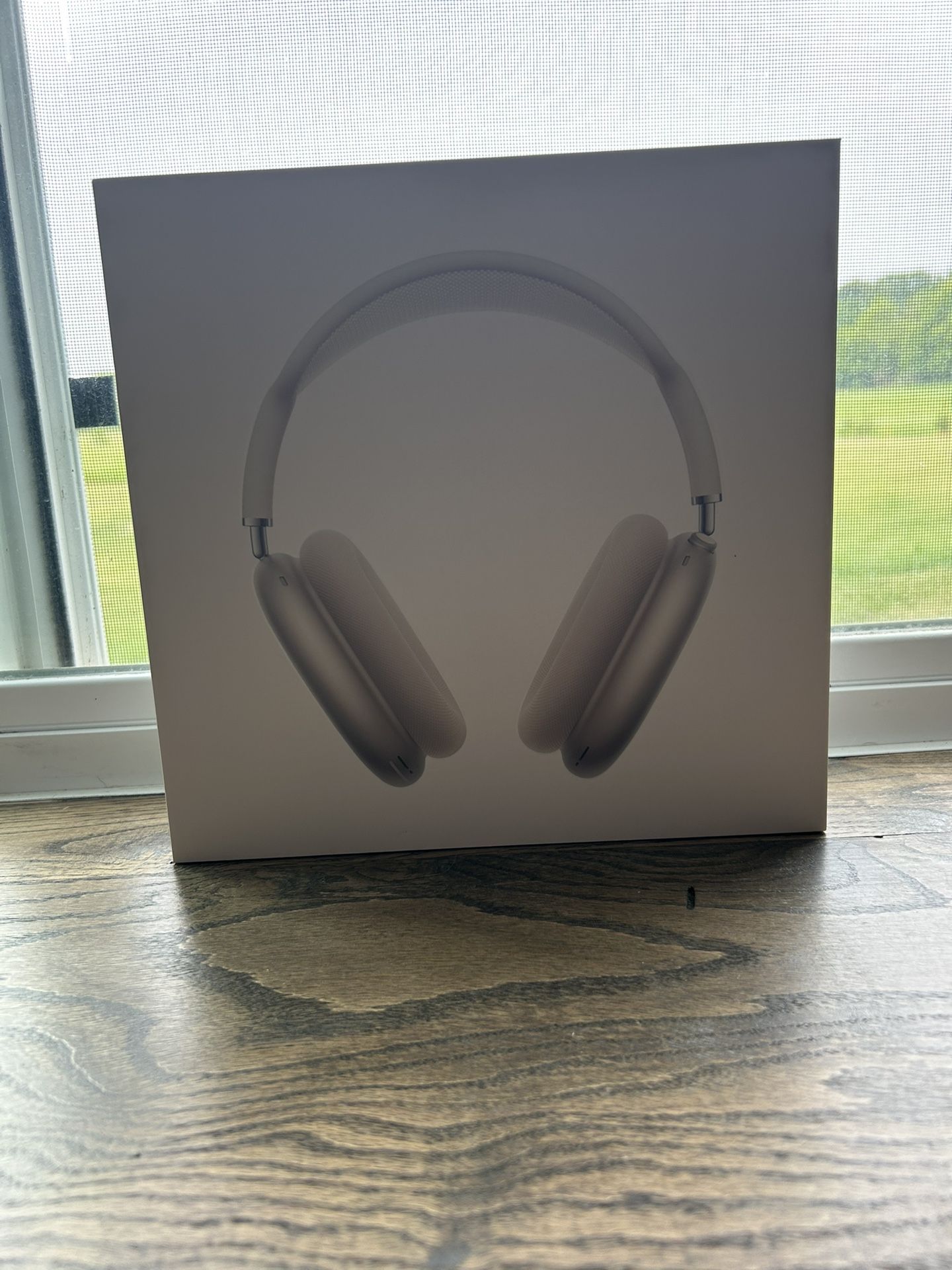 Apple AirPod Pro Maxes
