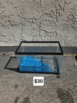 Fish Tank