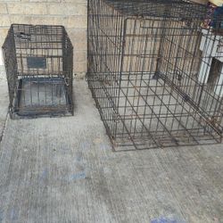 Kennels 