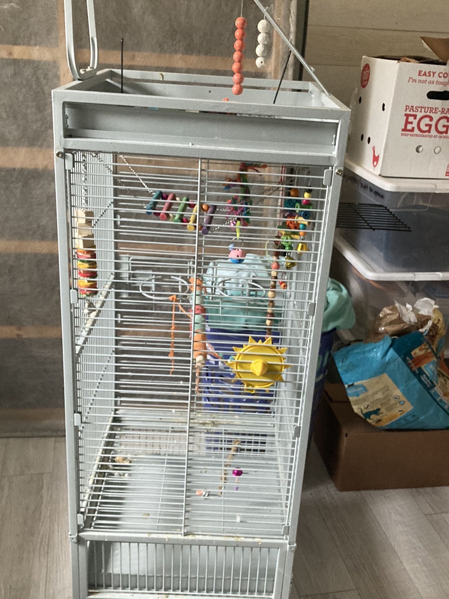 Bird Cage