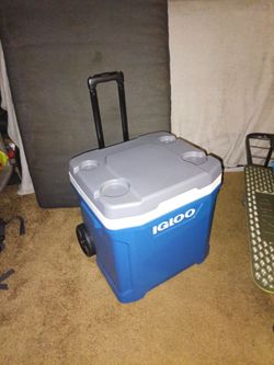 Igloo cooler