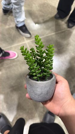 Really good fake plant
