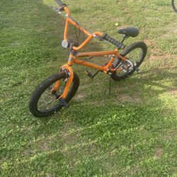 Mongoose Kids Bike 20”