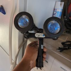 Luses Para Foto Estudió Buenas Condiciones 