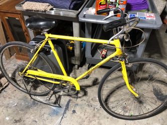 Schwinn collegiate bike