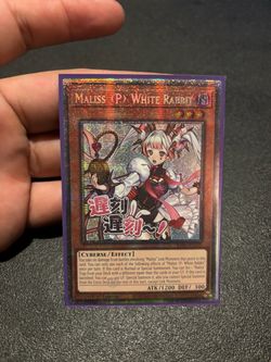 Maliss <P> White Rabbit