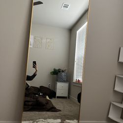 Full Body Mirror 