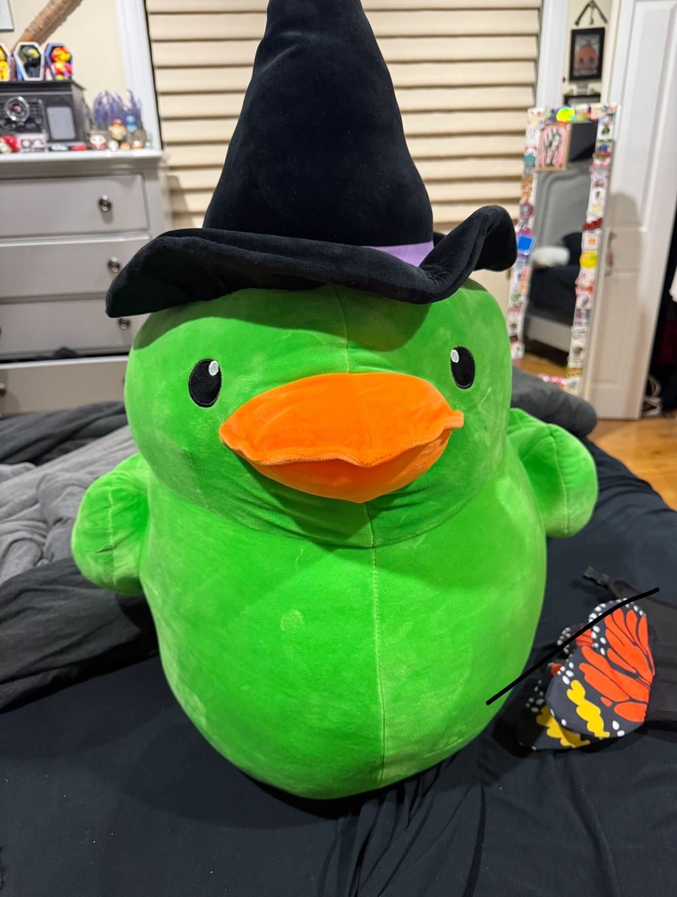 Big green witch duck plush purchased at Walmart