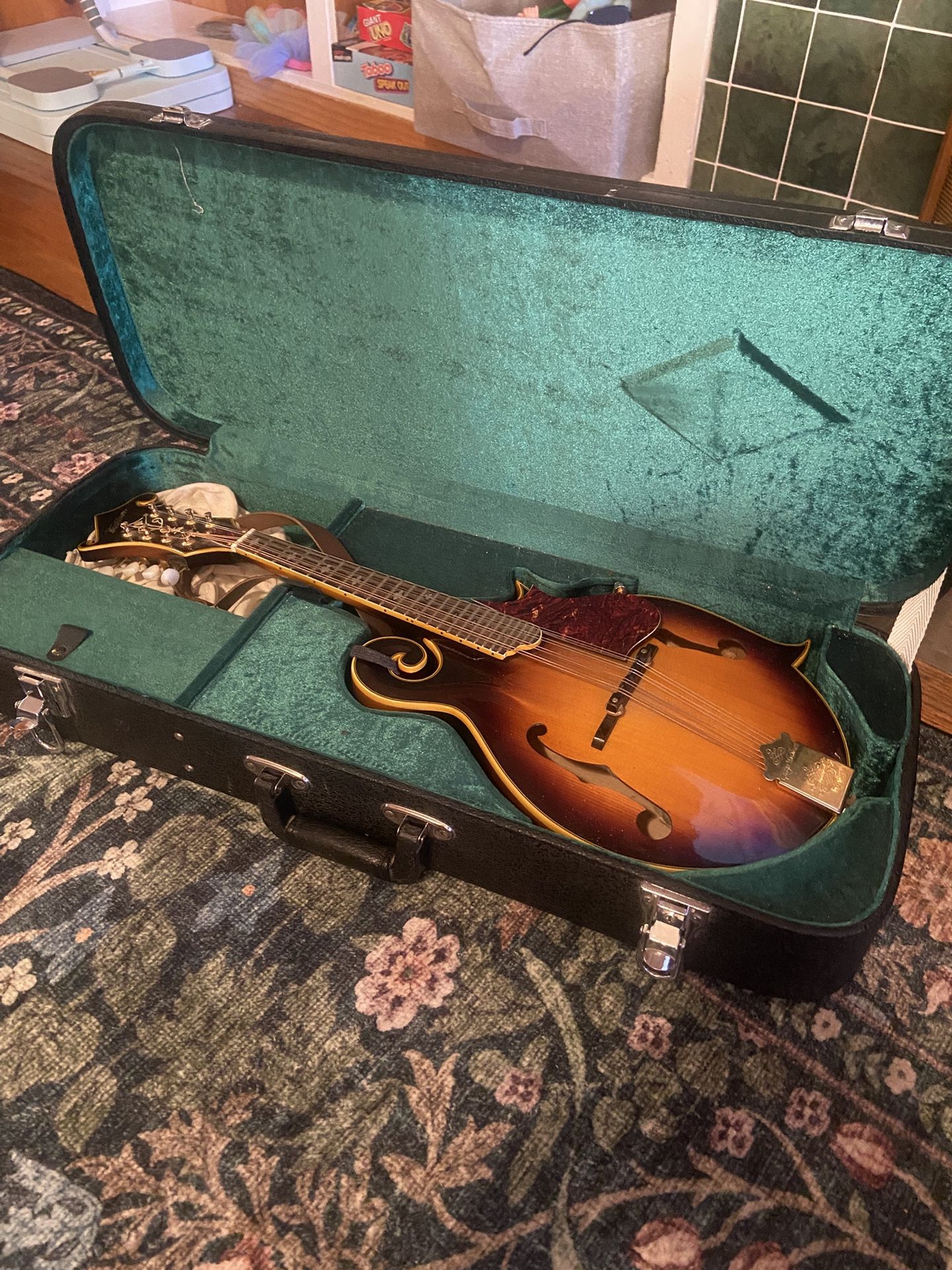 Washburn Mandolin