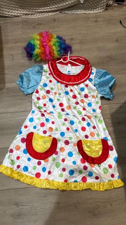 Adult clown dress costume