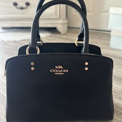 Coach mini 