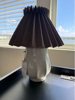 2 Lampshade for $20!!!