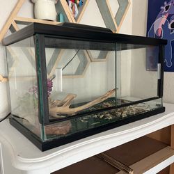 Reptile terrarium