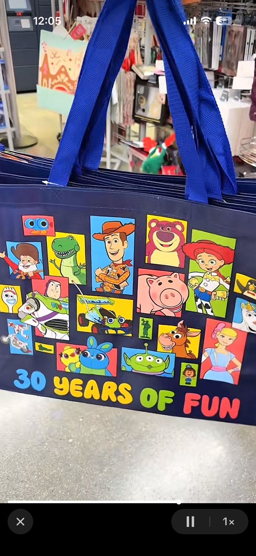 Toystory Reusable Bag