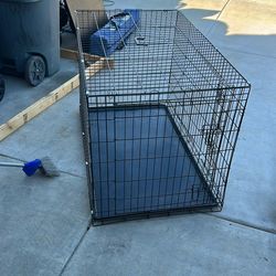 Dog Kennel