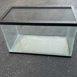 10 Gallon Tank