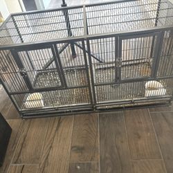 Bird Cage