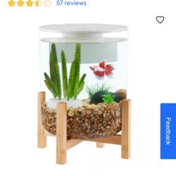 Bamboo Base Fish Tank