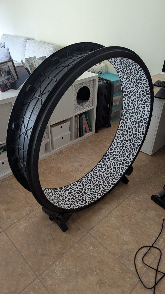 One Fast Cat Wheel