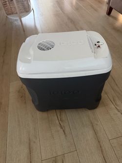 Electric cooler