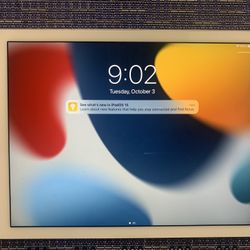 Apple iPad Air 2nd Generation 16GB Unlocked Like New!
