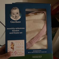 Monthly Milstone Blanket