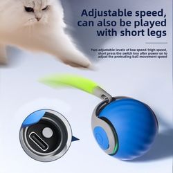 Pet Gtavity Pop-up ball