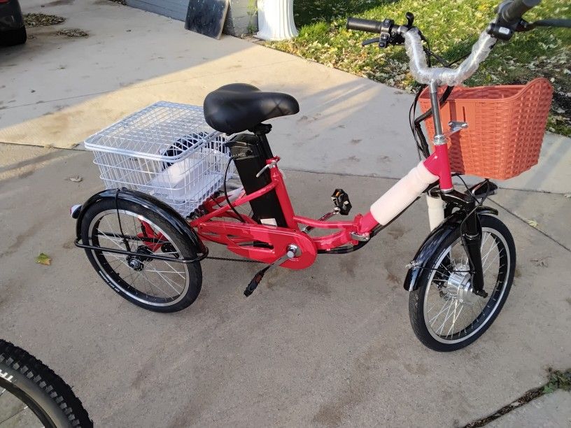 3 Wheel Tricycle E Bike