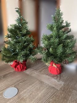 Mini Trees