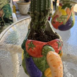 Cactus 