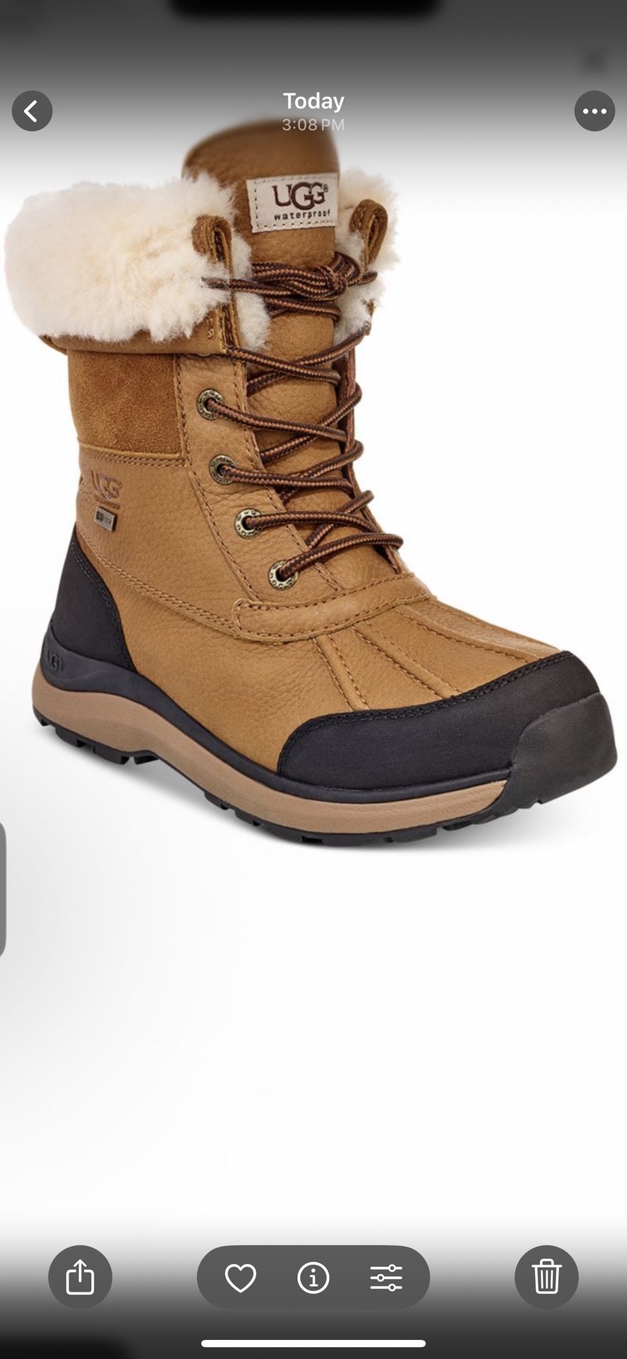 Uggs Boots 