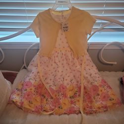 NWT Dress Size 12